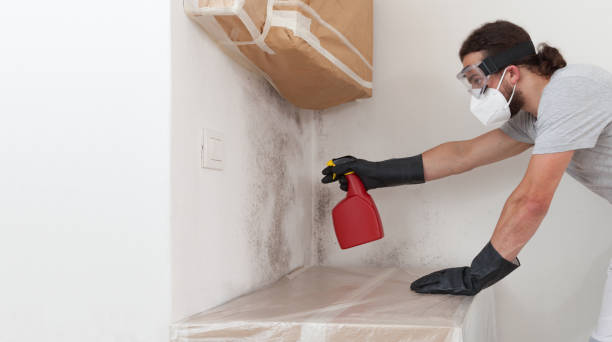 Professional Crawl Space Mold Remediation technician working in Rockford, MI